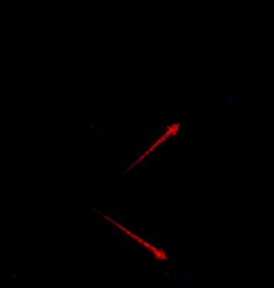 时间轴界面显示新建序列后的轨道结构，包含视频和音频层