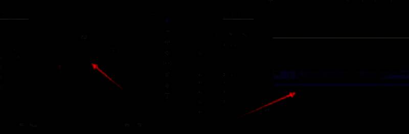 用户正在将视频素材从项目面板拖动到时间轴轨道中的操作画面