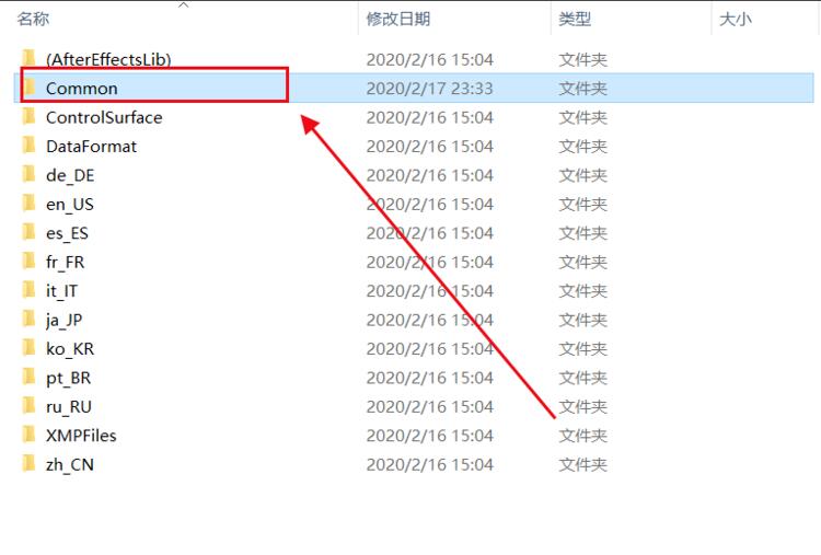 Common文件夹内部视图，多个插件文件整齐排列其中