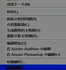Premiere Pro首选项面板中外观选项的详细截图