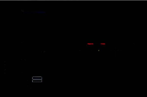 播放停止按钮特写，红色方块图标醒目易识别