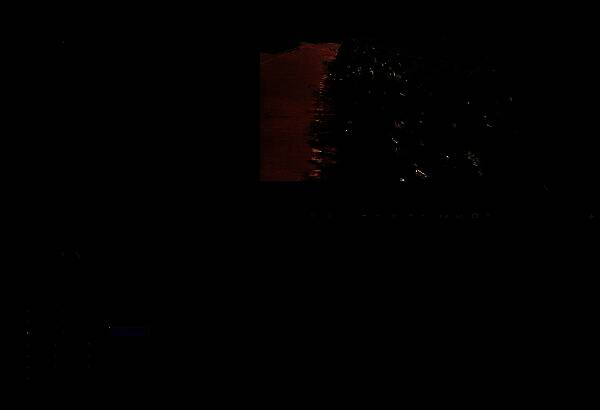 播放界面截图，显示已录制音频波形与视频同步播放状态