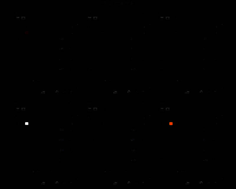 中间步骤图：花瓣分布与动态模糊处理