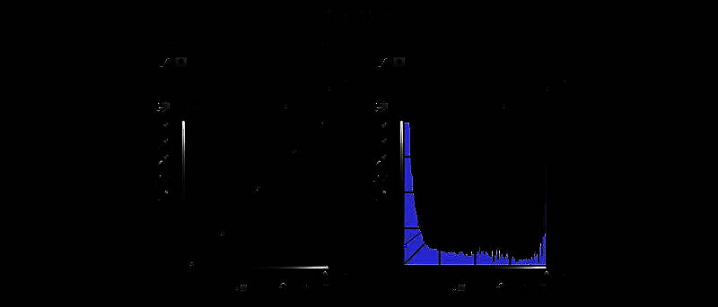 最终效果局部放大图：细腻纹理与光影过渡