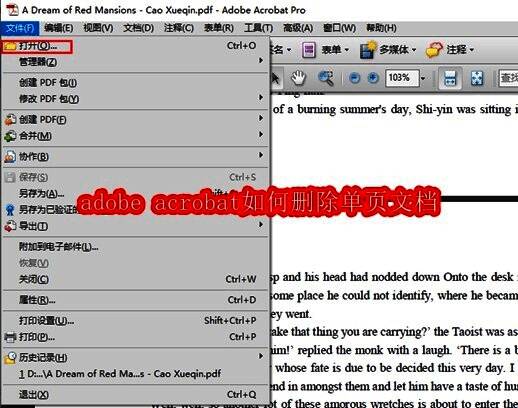 Adobe Acrobat主界面展示，界面清晰整洁，突出PDF文档处理的专业感