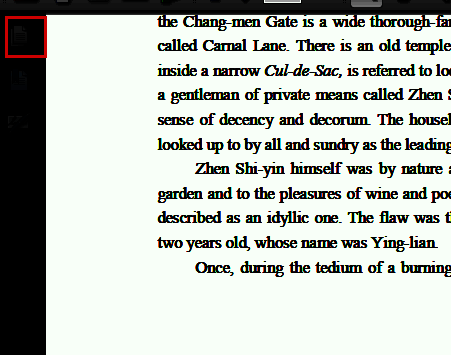 左侧页面缩略图区域高亮显示，清晰可见每一页的小预览图