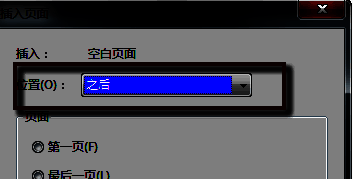 PDF文档中成功插入空白页后的预览效果，页面编号连续，布局整齐