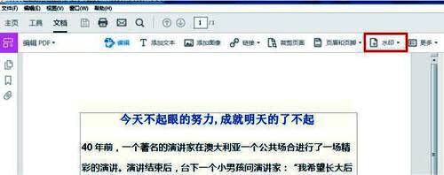 水印设置界面，显示‘添加水印’按钮被选中，准备输入文本内容