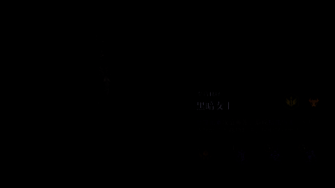 游戏LOGO与‘黑暗女士’章节标题并列呈现，背景为星空与龙影交织的宏大场景，象征史诗篇章的开启