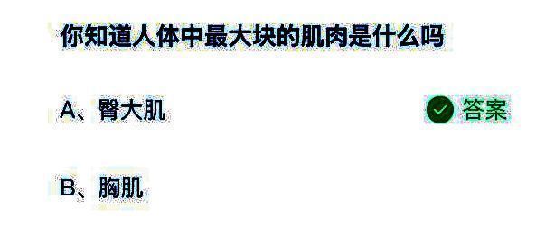 蚂蚁庄园题目选项界面，问题为人体最大肌肉名称，正确答案‘臀大肌’已被标注