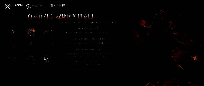 现实场景中，游客在雨林园区内与德鲁伊主题装置合影，背景为巨型树屋与发光符文装饰