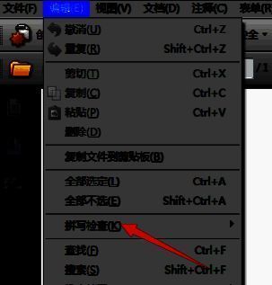 拼写检查子菜单展开，高亮显示‘注释和可编辑文本’选项
