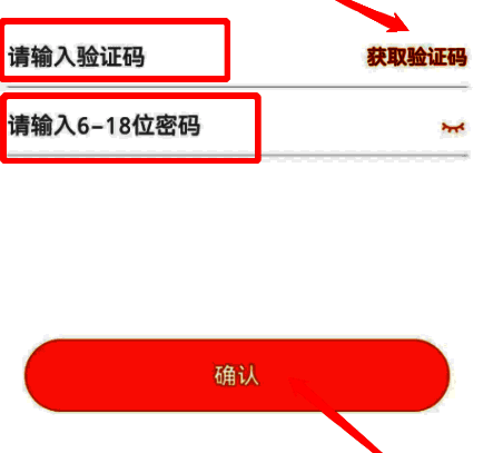 核桃编程密码设置最终步骤界面，包含验证码输入框和新密码填写区域
