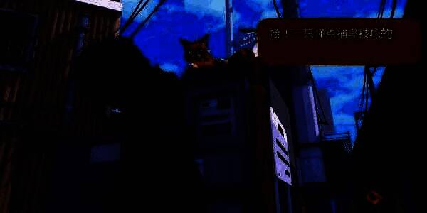 玩家角色站在ATM前与猫咪对话，对话框中显示‘教你伸个大懒腰’字样