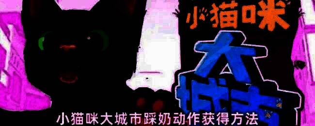 小猫咪在城市商店内与猫老大对话的温馨场景，周围摆满猫咪用品