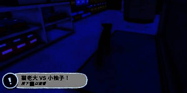 小猫咪在马路边发现小柚子，准备发起突袭