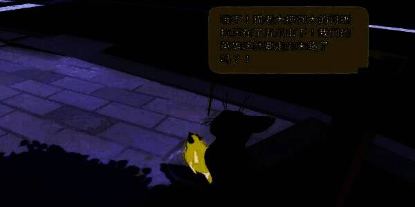 小猫咪成功扑倒小柚子，两者在地上打滚嬉戏的欢乐画面