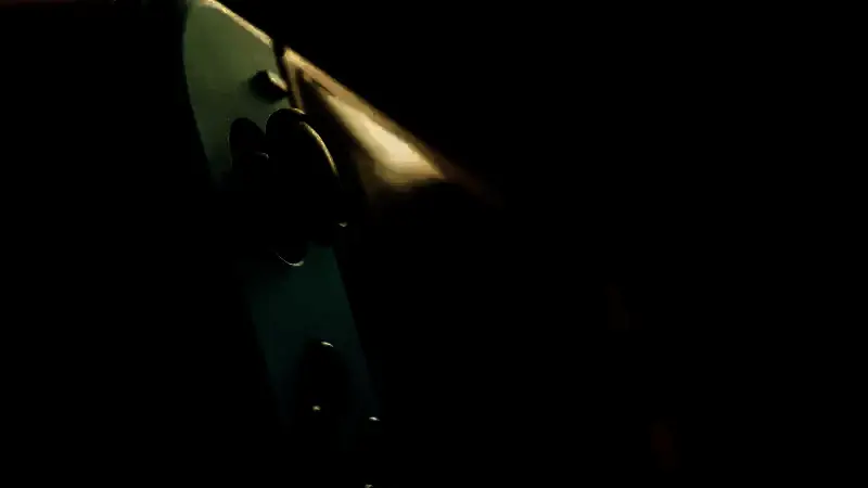 FBI发布公告查封盗版游戏网站的新闻截图，页面显示多个被关闭网站的域名信息