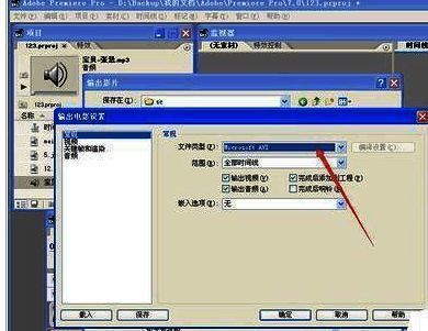 导出设置中选择Microsoft AVI格式的界面截图
