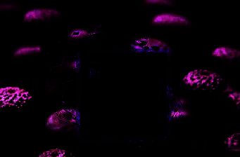 Adobe Premiere Pro CS6桌面图标被双击启动，软件开始加载进入欢迎界面