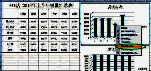右键菜单中选择添加数据标签的操作界面