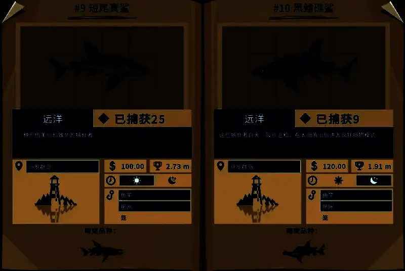 四种鲨鱼的图鉴合集展示，分别标注名称与捕获水域信息