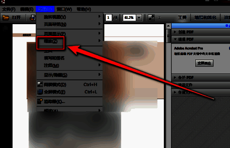 缩放菜单展开，光标悬停在‘选框缩放’选项上