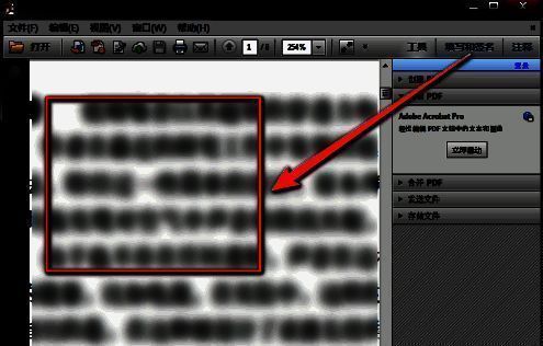 框选后页面已自动放大，显示被选中的文字细节