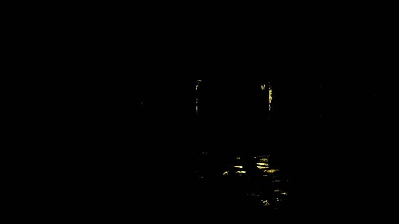 一只眼神空洞、嘴巴微张的宠物狗直视镜头，背景昏暗，仿佛下一秒就要扑向观众