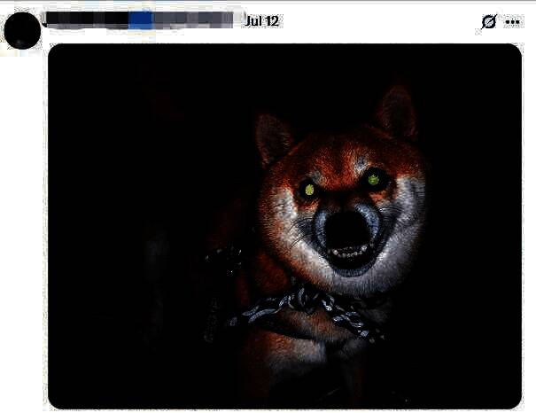 一只猫鼬正撕咬不明物体，双眼充血，嘴角带血，极具攻击性