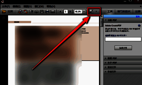 下拉菜单展开状态，清晰显示‘放大’功能被选中