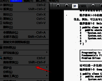 保护功能子菜单展示，包含多个安全相关选项