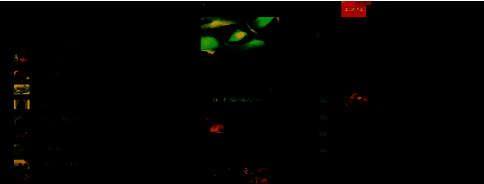 游戏好友推荐界面，展示跨区服的游戏伙伴推荐列表