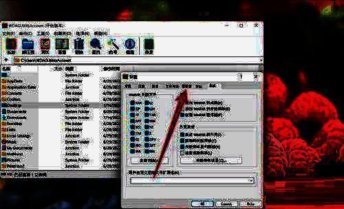WinRAR设置窗口中的查看器选项卡被选中，右侧显示相关配置参数