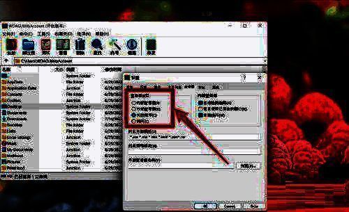 查看器设置详情界面，显示已添加的自定义文件类型与对应程序路径