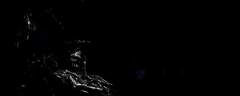 《艾尔登法环：黑夜君临》中追踪者角色立绘，身披深色轻甲，手持长剑，眼神锐利地凝视前方