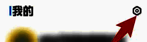 设置页面中【步数排行榜】选项特写，开关处于关闭状态