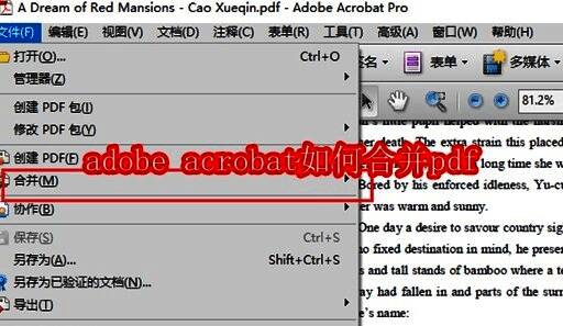 Adobe Acrobat主界面展示，界面清晰显示各项功能选项，突出文件合并入口