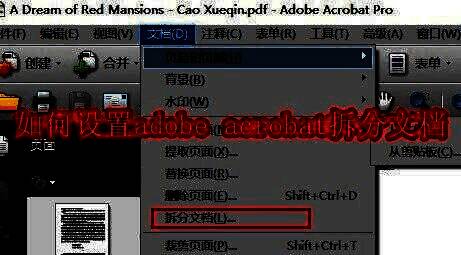 Adobe Acrobat主界面展示，用户正在浏览一份PDF文档，界面右侧面板显示工具选项