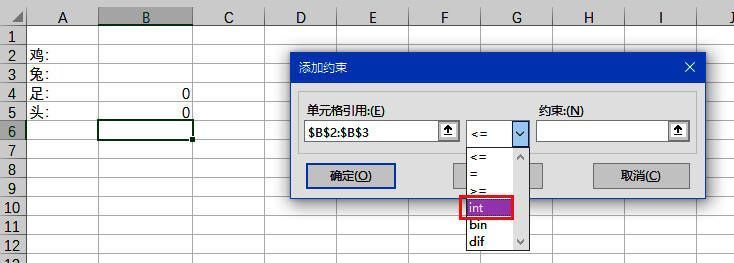添加约束条件对话框，包含整数和等式约束