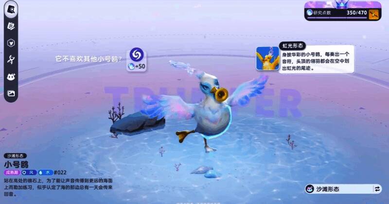 小号鸥群在夕阳下的鸥鸣湾海滩上空盘旋，背景是金色海浪与渐变天空