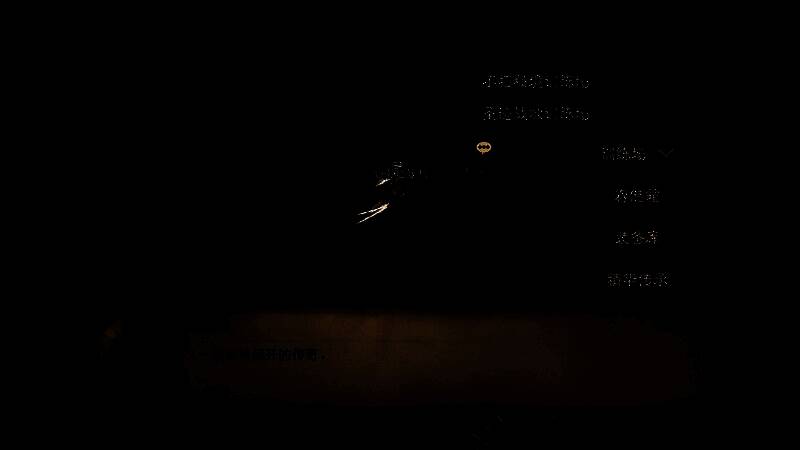 训练官纳迪娅站在威斯特玛训练场中央，周围是正在模拟战斗的玩家与假人对手