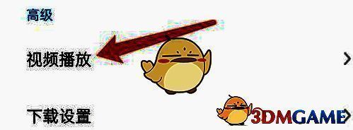 设置页面中“视频播放”选项被选中，下方列出相关子功能