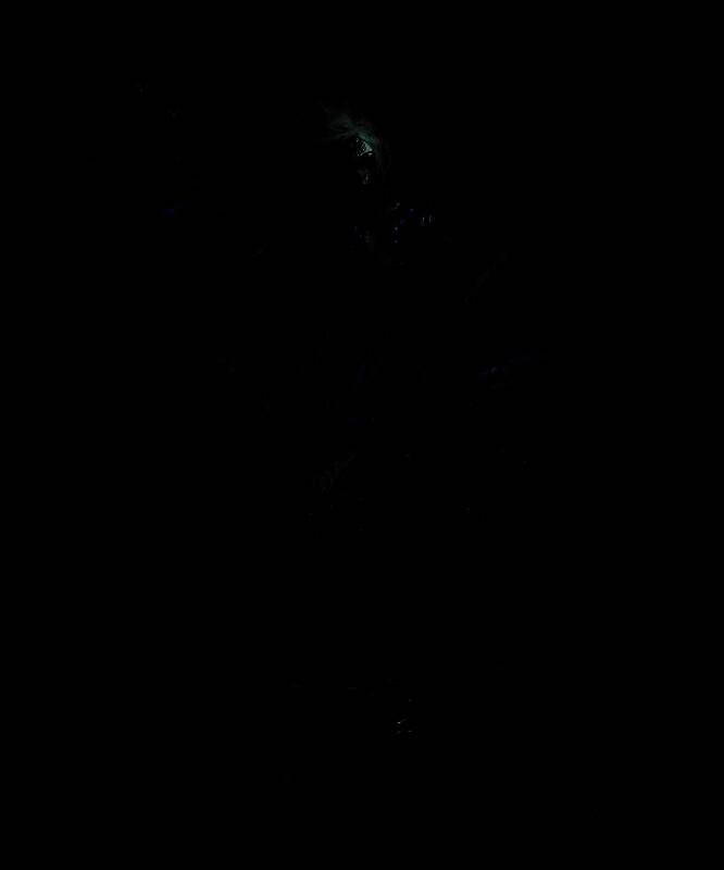 寄生虫偶盘踞于破败教堂中央，外形似巨型昆虫与腐尸的结合体，周围漂浮着大量小型寄生虫，环境阴森恐怖