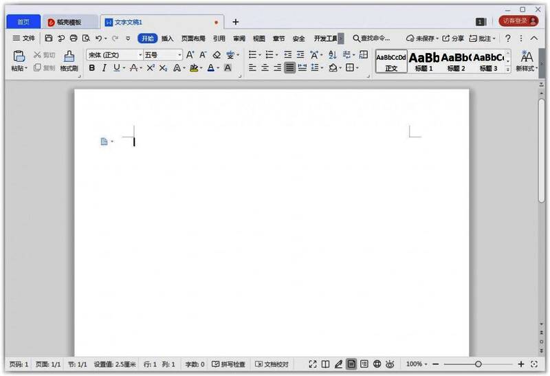 WPS Word文档打开界面，光标闪烁在文本行首