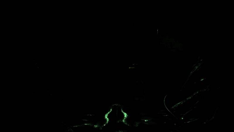 仪表盘显示鲨鱼脉搏急剧上升，麻醉剂剩余量仅剩10%，玩家面临是否继续手术的抉择