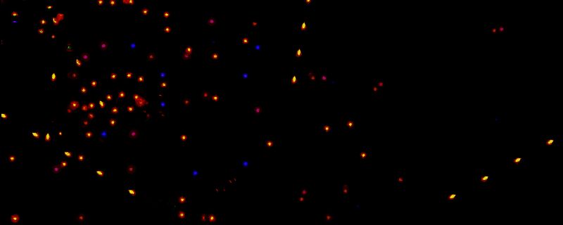 《星翼》游戏中飞船在星域间穿梭，释放密集弹幕对抗敌方舰队的震撼战斗画面