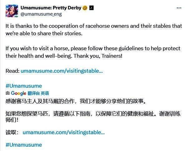 牧场工作人员引导游客有序参观，背景可见围栏内的赛马安静吃草