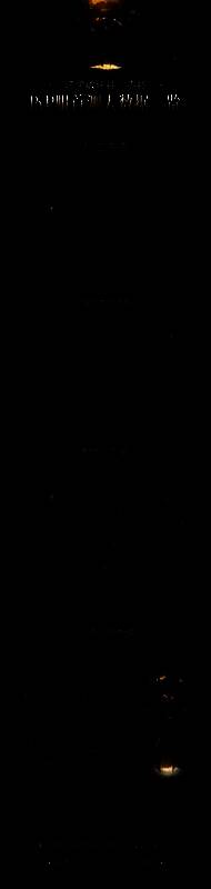 首次测试战报数据图，展示击杀数、工会战参与人次、铭牌掉落总量等核心PvP数据