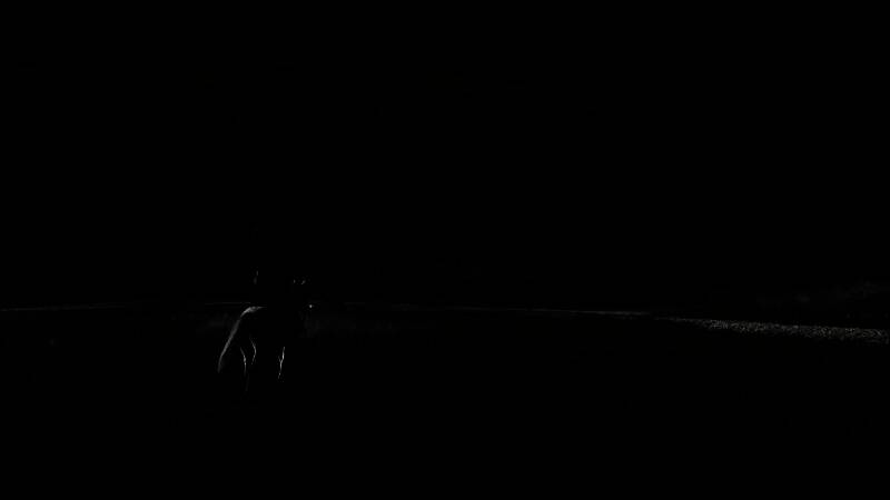 黑泽明模式下的远景镜头，人物剪影与自然环境融合，宛如经典电影画面